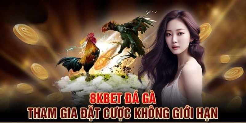 Tất tần tật về cách thức tham gia đá gà tại 8KBET