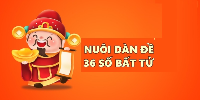 Chia sẻ cách nuôi dàn đề 36 số bất tử đúng cách